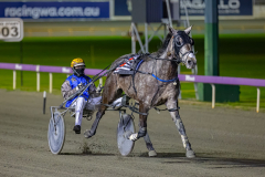 2026_PACEPIX_GP14072026_RACE6_MadamTiger_WIN_WEB-9