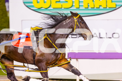 2025_PACEPIX_GP07112025_RACE6_MagnificentStorm_WIN_WEB-10