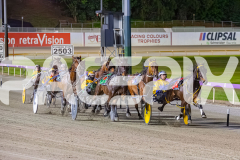 2025_PACEPIX_GP07112025_RACE6_MagnificentStorm_WIN_WEB-11