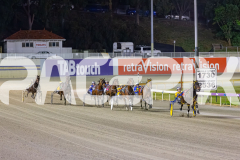 2025_PACEPIX_GP07112025_RACE6_MagnificentStorm_WIN_WEB-12