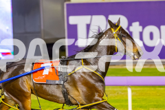 2025_PACEPIX_GP07112025_RACE6_MagnificentStorm_WIN_WEB-2
