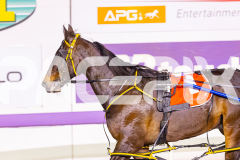 2025_PACEPIX_GP07112025_RACE6_MagnificentStorm_WIN_WEB-23