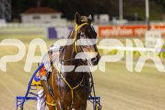 2025_PACEPIX_GP07112025_RACE6_MagnificentStorm_WIN_WEB-25