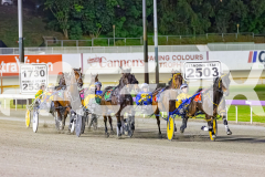 2025_PACEPIX_GP07112025_RACE6_MagnificentStorm_WIN_WEB-3