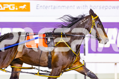 2025_PACEPIX_GP07112025_RACE6_MagnificentStorm_WIN_WEB-6