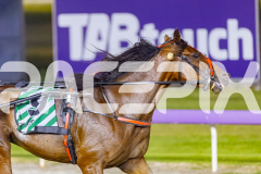 2025_PACEPIX_GP16012026_Race6_MajesticGaGa_WIN_WEB-14