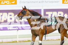 2025_PACEPIX_GP16012026_Race6_MajesticGaGa_WIN_WEB-17