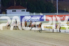 2025_PACEPIX_GP16012026_Race6_MajesticGaGa_WIN_WEB-2