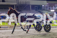 2025_PACEPIX_GP16012026_Race6_MajesticGaGa_WIN_WEB-22