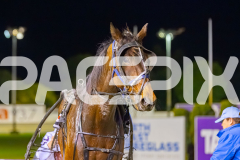2025_PACEPIX_GP12092025_Race6_MajicBay_WIN_WEB-20
