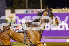 2025_PACEPIX_GP12092025_Race6_MajicBay_WIN_WEB-7