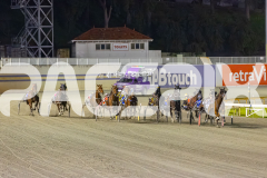 2025_PACEPIX_GP12092025_Race6_MajicBay_WIN_WEB-8