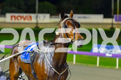 2026_PACEPIX_GP23062026_Race6_MakeItHappen_WIN_WEB-15