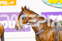 2025_PACEPIX_GP06062025_RACE6_Malakie_WIN_WEB-17