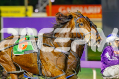 2025_PACEPIX_GP06062025_RACE6_Malakie_WIN_WEB-5