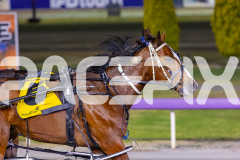 2025_PACEPIX_GP29112025_Race6_Maungatahi_WIN_WEB-11