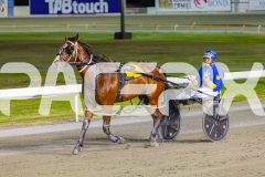 2025_PACEPIX_GP29112025_Race6_Maungatahi_WIN_WEB-12