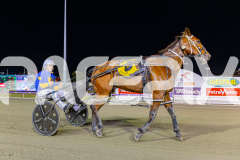 2025_PACEPIX_GP29112025_Race6_Maungatahi_WIN_WEB-19