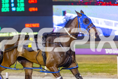 2025_PACEPIX_GP29112025_Race6_Maungatahi_WIN_WEB-2