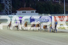 2025_PACEPIX_GP29112025_Race6_Maungatahi_WIN_WEB-4