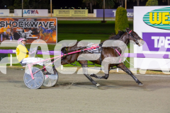 RACE 6 - Maximum Rock