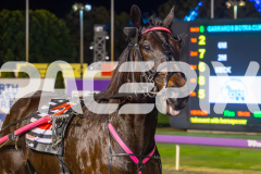 2025_PACEPIX_GP18062025_RACE6_MAXIMUM-ROCK_WIN_WEB-7