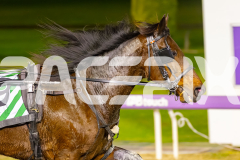 2025_PACEPIX_GP26082025_Race6_Middlepage_WIN_WEB-7