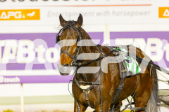 2025_PACEPIX_GP26082025_Race6_Middlepage_WIN_WEB-9