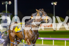 2025_PACEPIX_GP09092025_Race6_MissBejeweled_WIN_WEB-15