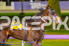 2025_PACEPIX_GP09092025_Race6_MissBejeweled_WIN_WEB-8