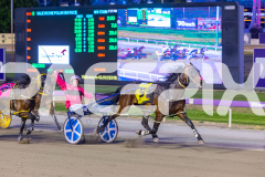 RACE 6 - Miss Knowall