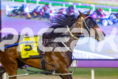 2026_PACEPIX_GP02012026_RACE6_MissKNowall_WIN_WEB-3