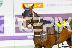 2026_PACEPIX_GP02012026_RACE6_MissKNowall_WIN_WEB-30