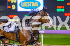 2026_PACEPIX_GP22052026_RACE6_MissLeopatra_WIN_WEB-17