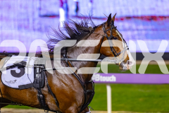 2026_PACEPIX_GP22052026_RACE6_MissLeopatra_WIN_WEB-18