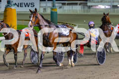2026_PACEPIX_GP22052026_RACE6_MissLeopatra_WIN_WEB-20