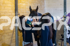 2026_PACEPIX_GP22052026_RACE6_MissLeopatra_WIN_WEB-35