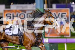 2026_PACEPIX_GP22052026_RACE6_MissLeopatra_WIN_WEB-4