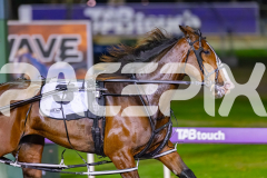 2026_PACEPIX_GP22052026_RACE6_MissLeopatra_WIN_WEB-8