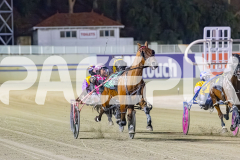 2026_PACEPIX_GP09012026_Race6_NorthviewDance_WIN_WEB-3