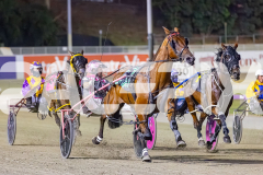 2026_PACEPIX_GP09012026_Race6_NorthviewDance_WIN_WEB-4