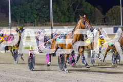 2026_PACEPIX_GP09012026_Race6_NorthviewDance_WIN_WEB-5