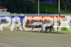 2026_PACEPIX_GP12062026_RACE6_OpalHunter_WIN_WEB-6