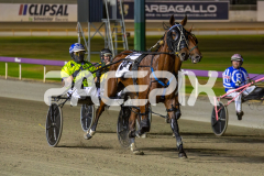 Race 6 - Our Seraphina