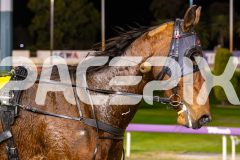 2023_HCC_GP12082025_Race6_Our-Thunder_WEB-8