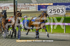 2026_PACEPIX_GP28082026_Race6_OurTrinkle_WIN_WEB-2