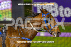 2026_PACEPIX_GP28082026_Race6_OurTrinkle_WIN_WEB-20