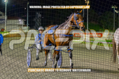 2026_PACEPIX_GP28082026_Race6_OurTrinkle_WIN_WEB-26