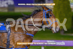 2026_PACEPIX_GP28082026_Race6_OurTrinkle_WIN_WEB-4