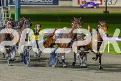 RACE 6 - Paroquet